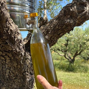 Sonderangebot!! 10L Bio-Olivenöl extra vergine, kaltgepresstes Premium EVOO aus Griechenland, kostenlose EU-Lieferung, Gourmet, außergewöhnlicher Geschmack