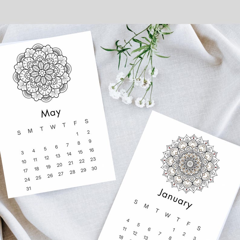 2026 Mandala Coloring Book, Stress Relief Mindfulness Art (digital ...