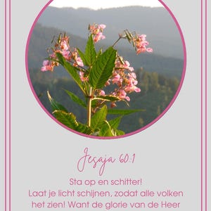 Nova Vida - Fotokaarten, uniek en origineel. Voor elke gelegenheid.