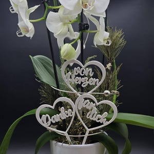 Puede incluir: Una planta de orquídea blanca con delicadas flores blancas y hojas verdes. Estacas plateadas en forma de corazón con las frases alemanas "Danke für dich" y "von Herzen" se insertan en la tierra de la planta. La planta está en una maceta blanca.