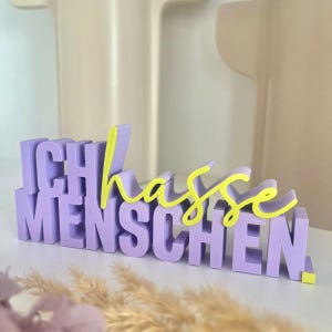 Puede incluir: Un letrero decorativo de color lavanda con la frase alemana "Ich hasse Menschen" en letras de bloque. La palabra "hasse" est&aacute; en una escritura amarilla contrastante. El letrero es una pieza de declaraci&oacute;n.