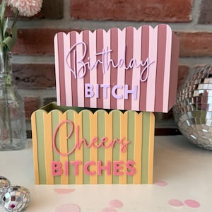 Peut inclure: Deux boîtes rectangulaires à bords supérieurs festonnés et rayures verticales. La boîte supérieure est mauve et rose avec le texte "Birthday BITCH" en relief. La boîte inférieure est vert olive et jaune avec le texte "Cheers BITCHES" en lettres roses en relief.
