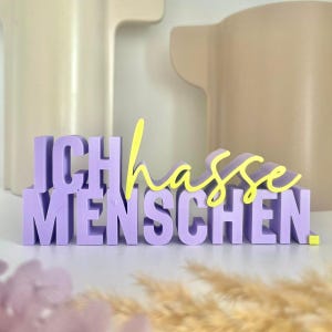 Op de afbeelding: Een decoratief bord met de Duitse zin "Ich hasse Menschen" in paars en geel. Het bord is gemaakt van een stevig materiaal en wordt weergegeven op een wit oppervlak. Twee neutraal gekleurde vazen staan op de achtergrond.