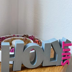 Puede incluir: Un letrero gris impreso en 3D que dice "HOLY SHIT", con la palabra "SHIT" en rosa. El letrero está colocado sobre una superficie de madera, con un arreglo floral blanco en el fondo.