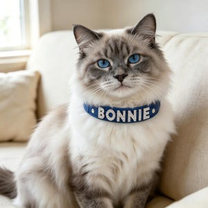 May include: A blue pet collar featuring silver-toned letters that spell out the name BONNIE. The letters are embellished with small clear crystals. The collar is secured with silver-toned metal rivets on each side of the nameplate.