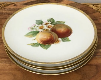 HUTSCHENREUTHER "REVERE" WHITE PATTERN 8045 FRUIT/DESSERT BOWL 5 1/4" GREAT HUTSCHENREUTHER "REVERE" WHITE PATTERN 8045 FRUIT/DESSERT BOWL 5 1/4" GREAT