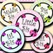 INSTANT DOWNLOAD Sweet Big Sis Lil Sis Middle Sis Ladybug (097) 4x6 Bottle Cap Images Digital Collage bottlecaps hair bows bottlecap images