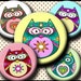 INSTANT DOWNLOAD Cutie Floral Owls (222) 4x6 Bottle Cap Images Digital Collage Sheet for bottlecaps glass tiles hair bows . bottlecap images