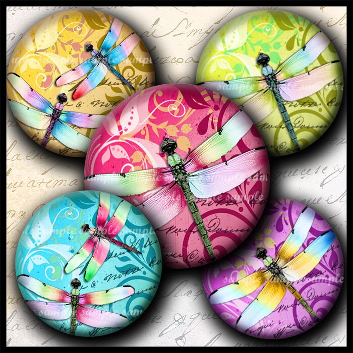 INSTANT DOWNLOAD New Colorful Dragonflies (671) 4x6 Bottle Cap Images…