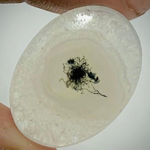 Puede incluir: Gema ovalada con un exterior blanco translúcido y un diseño central de inclusiones negras en forma de helecho. La piedra se sostiene entre los dedos, mostrando su superficie pulida y patrones naturales.