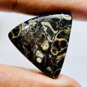 Natural Turritella Fossil Agate Stone – Unique Shell Pattern Cabochon, Rare Fossil Gem, Oval Cabochon for Jewelry, Healing Crystal Gift