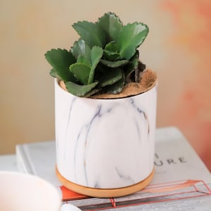 Marble Ceramic Planter with Bamboo Tray – Modern Succulent Pot for Indoor Plants, Minimalist Home Decor Gift