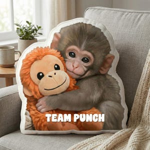 May include: A plush pillow featuring a brown monkey hugging an orange stuffed monkey. The pillow has a white border and the words "TEAM PUNCH" in white block letters.