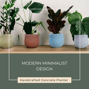 modern concrete planter, gift for plant lover, pots of plants, cement pot, Modern garden, large concrete pot, indoor and outdoor plant pot
