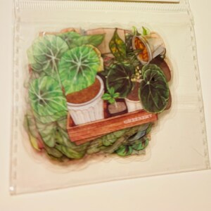 TEST: Soft Summer Journaling Ephemera Pack – Botanical & Butterfly Collage Kit, Cottagecore Nature Scrapbooking Supplies