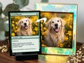 Custom MTG cards, high quality custom cards, custom photo cards, anniversary gifts, gifts for men, Christmas gifts, gifts for husband product logo