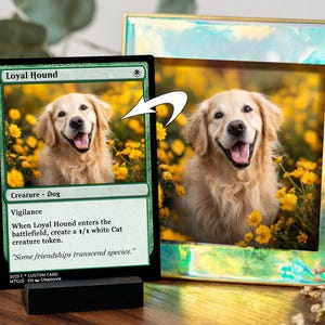 what mtg packs have serialized cards Magic the Gathering, Secret Lair: Dogs Are Better Than Cats – Card Monster  Games