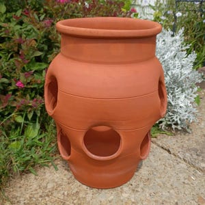 May include: A terracotta strawberry planter featuring a wide top opening and multiple circular side pockets arranged in two tiers. The pot has a smooth, matte finish with a distinct horizontal ridge pattern encircling the main body structure.