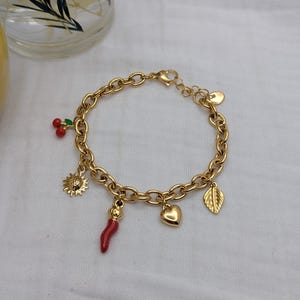 Steel chain and charm bracelet