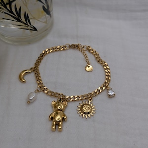 Steel chain and charm bracelet