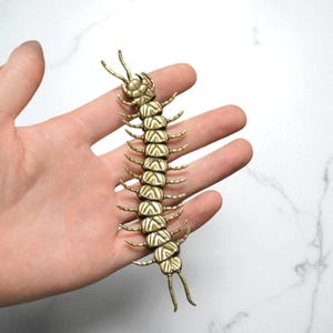 May include: A detailed, golden-colored centipede sculpture with segmented body and multiple legs. The insect-themed art piece is held in a hand, showcasing its intricate design and texture. The sculpture is a unique decorative item.