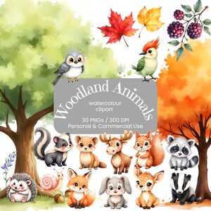 Lot de cliparts animaux des bois | Animaux de la forêt d'automne | Aquarelle d'automne PNG | Créatures des bois | Utilisation commerciale