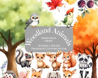 Woodland Animals Clipart Bundle | Autumn Forest Animals | Fall Watercolour PNG | Woodland Creatures | Commercial Use