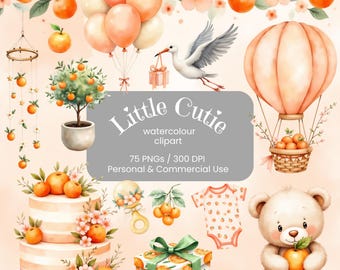 Little Cutie Is On The Way Clipart Bundle | Orange Baby Shower Watercolour Clip Art | Citrus Nursery Clipart | Commercial Use