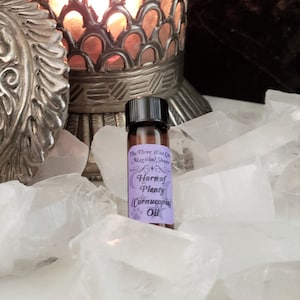 Horn of Plenty Anointing Oil--Cornucopia Always Abundant and Prosperous Continued Prosperity Blessings Security