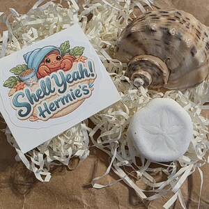 May include: A sticker with the text "Shell Yeah! Hermie's" and a cartoon hermit crab in a blue shell, next to a large seashell and a white sand dollar, all nestled in paper filler.
