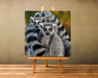 Quadro da parete raffigurante la famiglia di lemuri dalla coda ad anelli, tela pronta da appendere raffigurante la famiglia di lemuri, quadro da parete a tema animali, simpatico poster raffigurante un lemuri, idea per l'arredamento della casa
