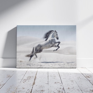 Wild Horse in Nature Wall Art, White Horse Ready to Hang Canvas, Powerful Horse in the White Desert Poster, Home Decor Idea, Gift Wall Art