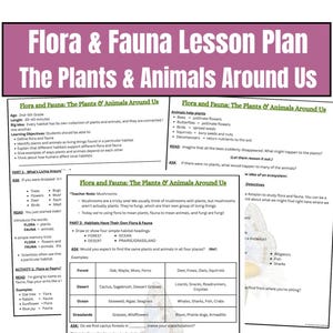 May include: A multi-page educational lesson plan titled Flora & Fauna Lesson Plan: The Plants & Animals Around Us. The document includes learning objectives, activity instructions, and a table categorising plants and animals by habitat types.