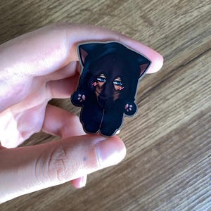 May include: A black cat-shaped enamel pin with a hooded design. The pin features a stylized face with blue eyes and pink accents. The pin is held in a hand against a wooden background.