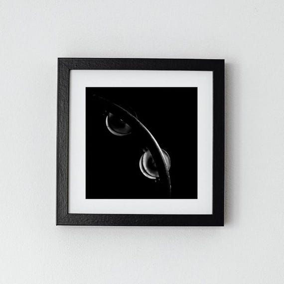 Black and White Tambourine I Photograph (Fine Art Music Print)