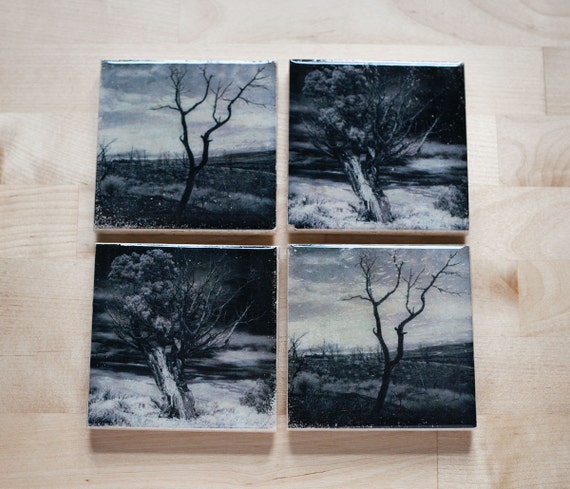 Tree Coaster Set (4 Stone Coasters, Black and White) Fine Art Nature Home Decor