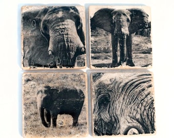 Set di sottobicchieri con elefante (4 sottobicchieri in pietra) Decorazioni per la casa in bianco e nero, arte degli animali