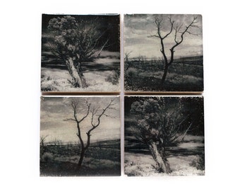 Tree Coaster Set (4 Stone Coasters, Black and White) Fine Art Nature Home Decor