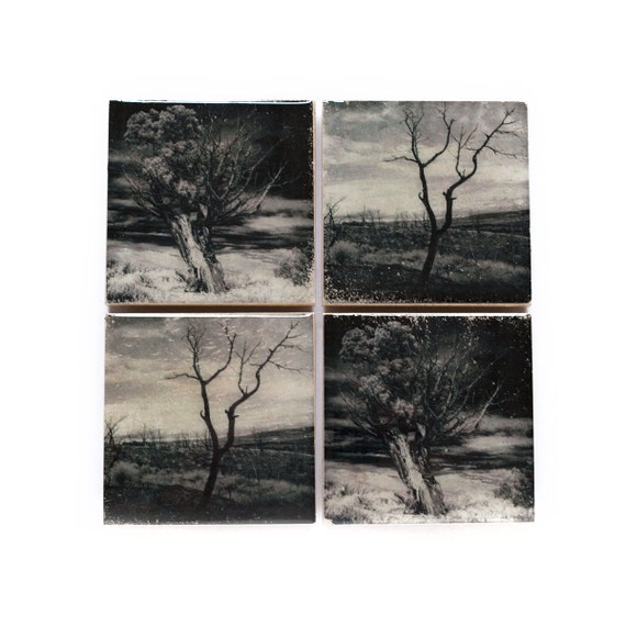 Tree Coaster Set (4 Stone Coasters, Black and White) Fine Art Nature Home Decor