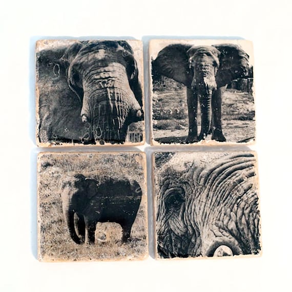 Elephant Coaster Set ( 4 Stone Coasters) Black and White Nature Home Decor, Animal Art