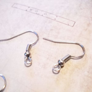 Stainless Ear Wires Stainless Steel Ear Wires Stainless Earwires Earring Findings Earring Hooks Stainless Steel Wire Stainless Hooks 10pcs