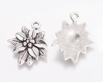 Imágenes De Flor Poinsettia - Descarga Gratuita En