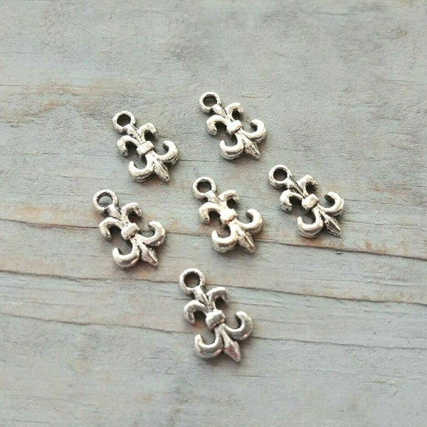 Fleur de Lis Charms Antiqued Silver Lily Charms European Lily France Charms 15mm 6pcs