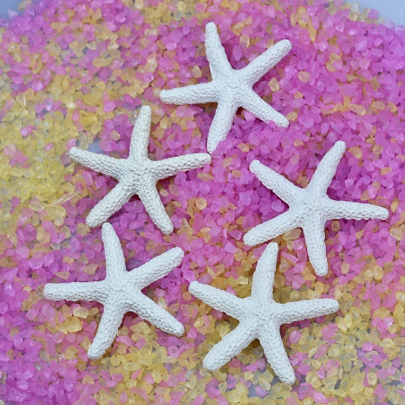 Starfish Embellishments Ocean Decor Resin Starfish Large Etsy