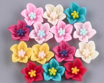 Könnte beinhalten: Sortiment von 14 bunten, blumenförmigen Harzembellen. Die Blumen sind in verschiedenen Farben, darunter rosa, gelb, blau, rot und weiß. Jede Blume hat ein fünfblättriges Design mit einer kleinen Mitte.