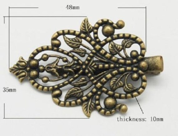 fancy hair clips