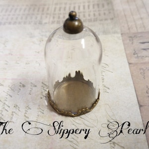 Puede incluir: Una campana de cristal transparente con tapa y base de latón. La base tiene un borde decorativo festoneado.