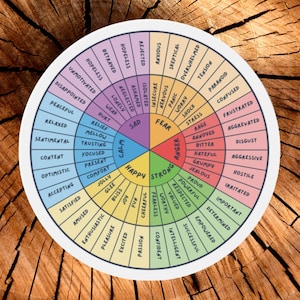 Op de afbeelding: Een cirkelvormige afbeelding met een kleurengecodeerd emotiewiel. Het wiel is verdeeld in secties met labels zoals "Gelukkig", "Triest", "Angst" en "Boos". Elke sectie bevat gerelateerde emoties.