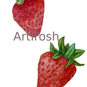 Könnte beinhalten: Aquarellillustration von zwei reifen Erdbeeren. Die Erdbeeren sind leuchtend rot mit kleinen gelben Samen und grünen Blattoberteilen. Der Text "Arthosh" ist in Grau gedruckt.