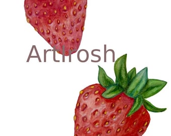 Clipart di fragole ad acquerello | Illustrazione di frutta dipinta a mano | Download digitale per lavoretti, adesivi e decorazioni murali